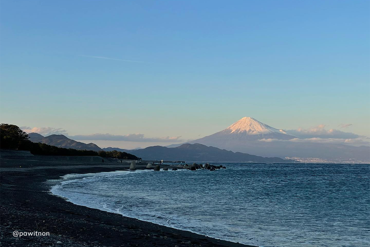 The Miho Peninsula stretches from Shizuoka City into Suruga Bay and is famous for its vistas of Mount Fuji and the pine tree-lined Miho Beach