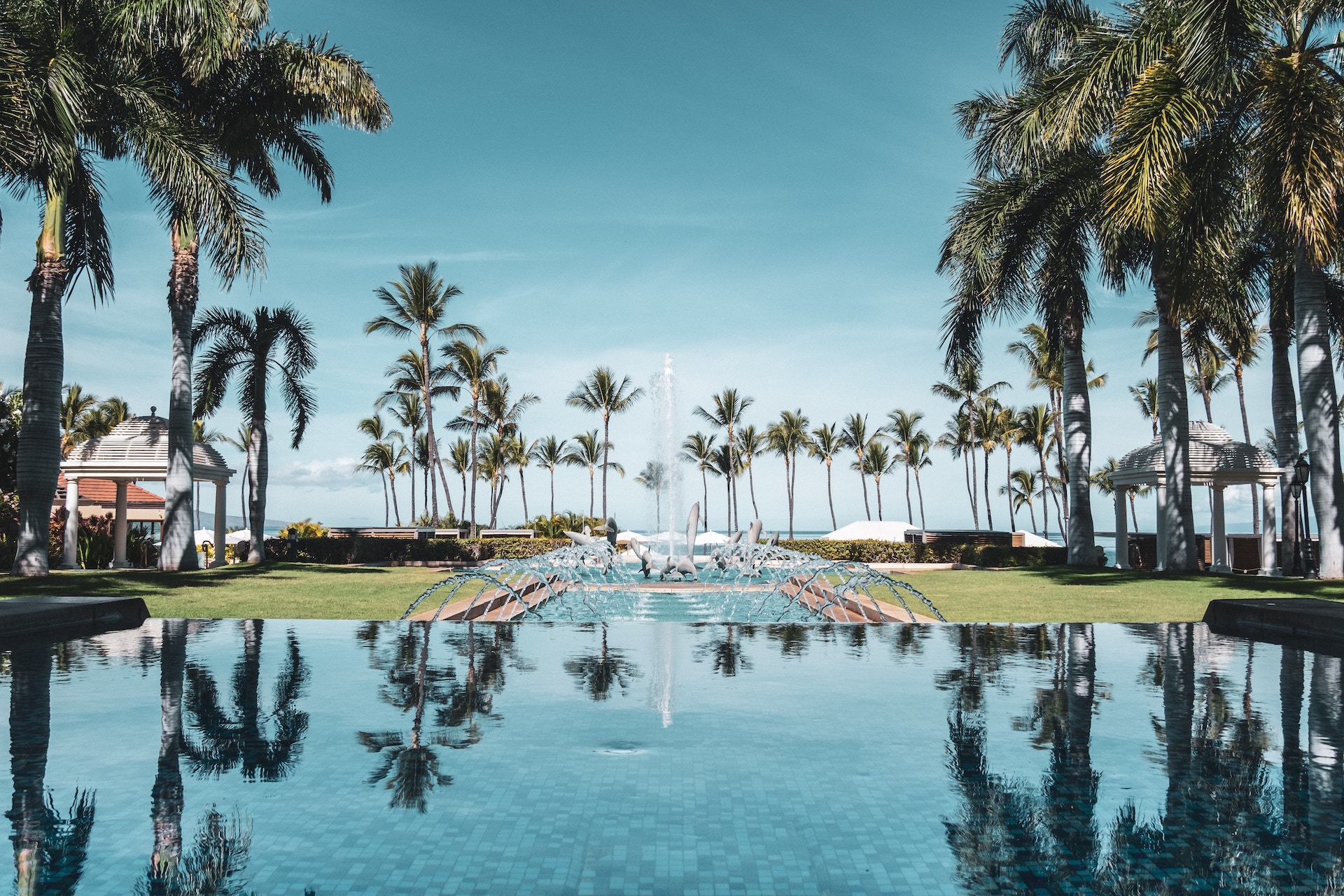 Palm trees near the swimming pool at Wailea Beach Resort, one of Kihei luxury hotels