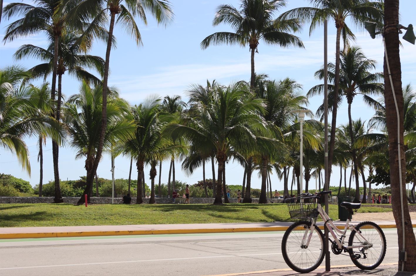 Biking is one of several green modes of transportation in Miami, Florida