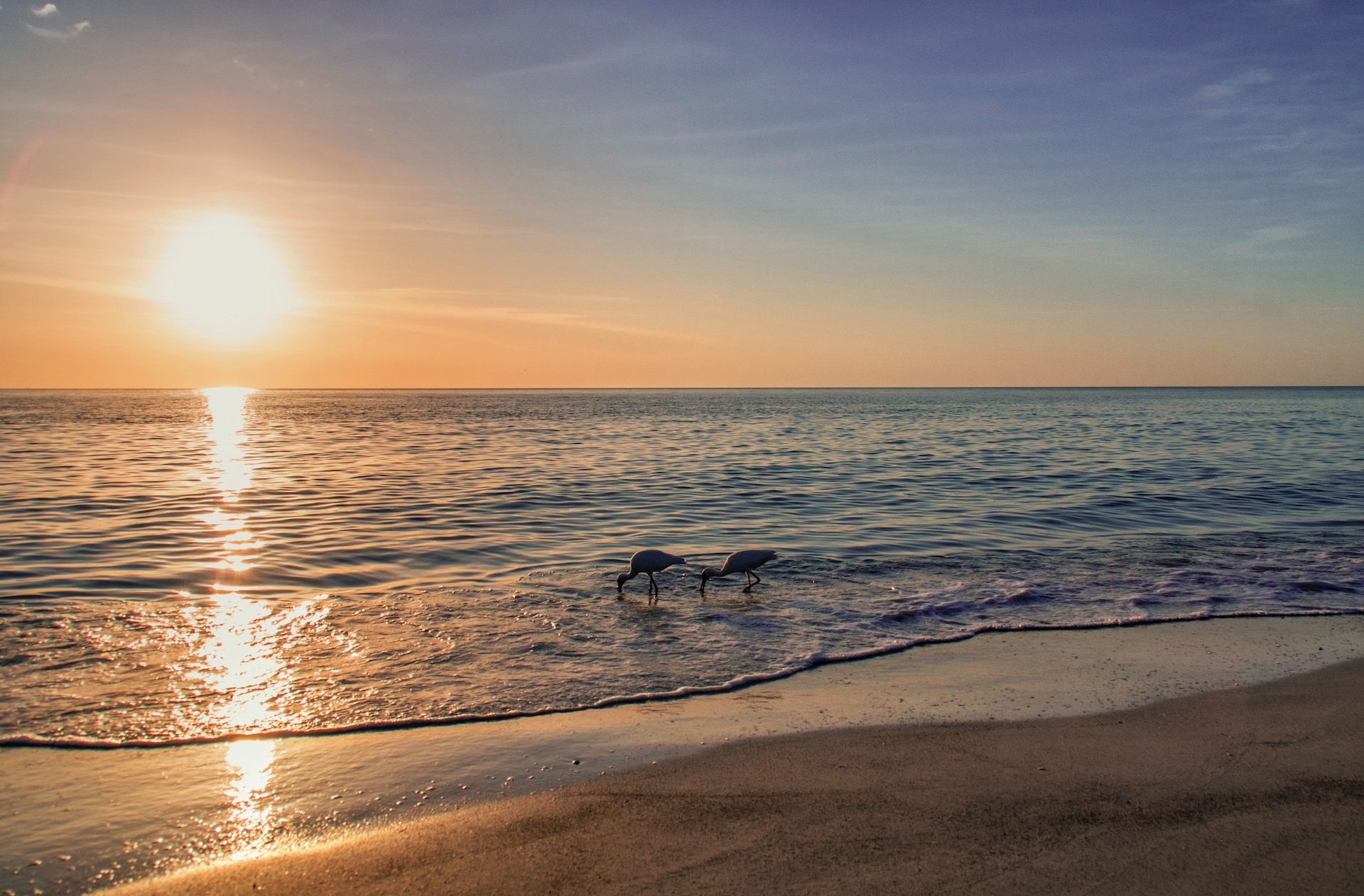 Sunset at one of the Sarasota beaches