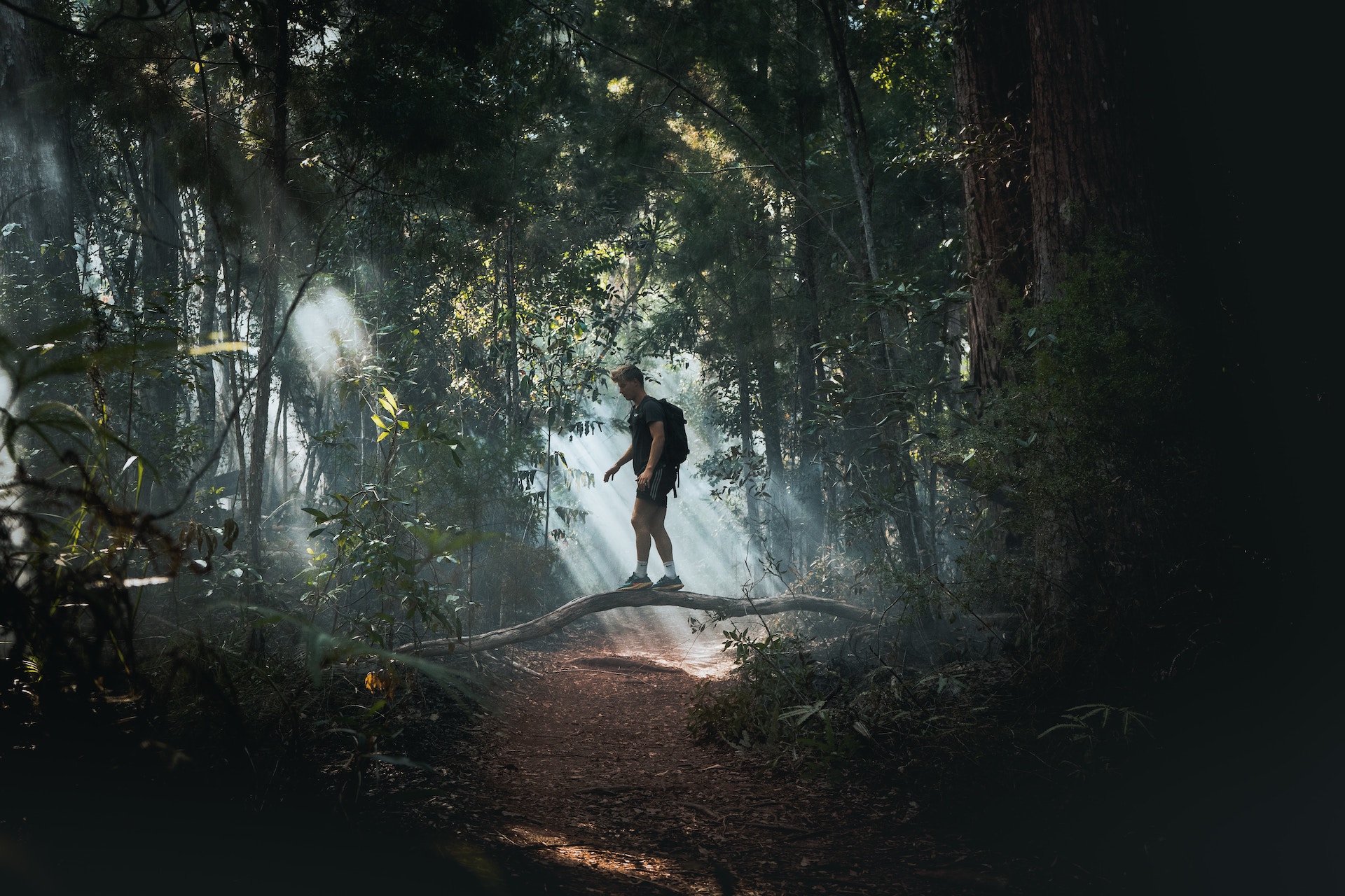 A man walking along a nature trail in the forest in Australia